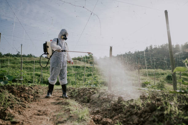 Best Best Pest Control Companies  in Houghton Lake, MI