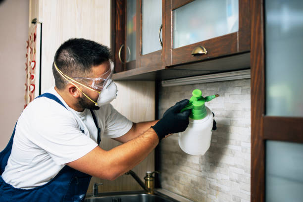 Best Best Pest Control Companies  in Houghton Lake, MI
