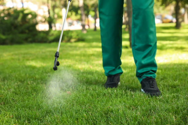 Best Pest Control for Businesses  in Houghton Lake, MI