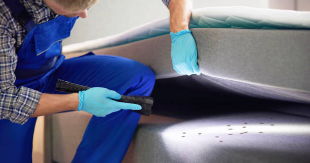 Best Pest Prevention Services  in Houghton Lake, MI