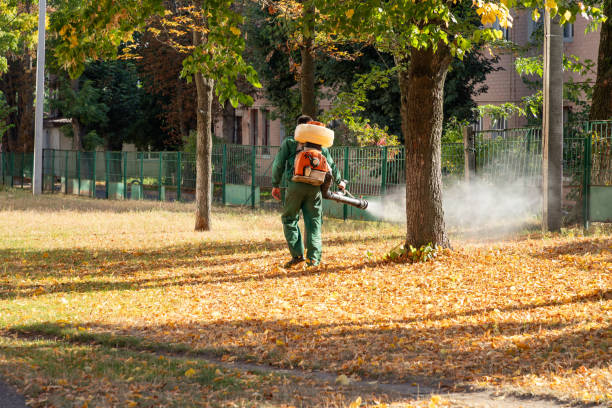 Best Rodent Control Near Me  in Houghton Lake, MI