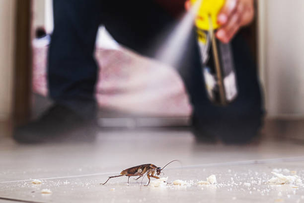 Trusted Houghton Lake, MI Pest Control Experts