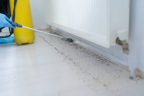 Best Residential Pest Control  in Houghton Lake, MI