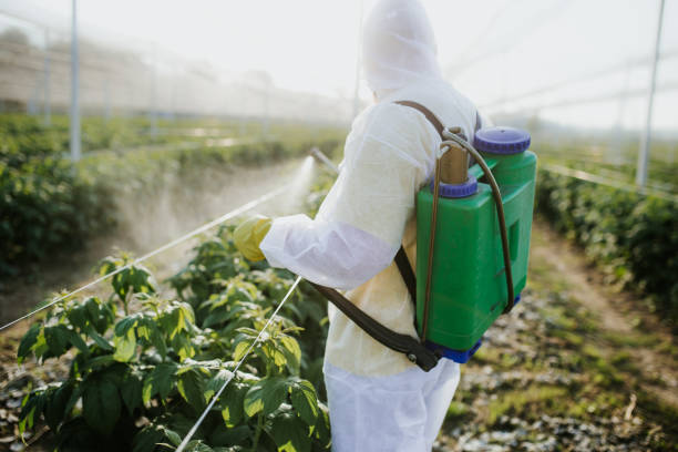 Best Pest Control Cost  in Houghton Lake, MI